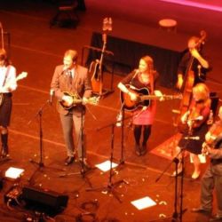 Playing Godzilla with the Dixie Bee-Liners