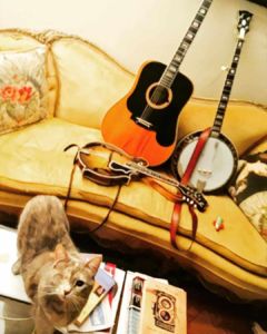 Emma wondering why I'm not taking a picture of her instead of my instruments.