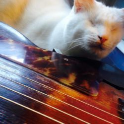 Harry hanging out with Heidi.