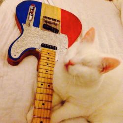 Harry keeping Alvis warm...or the other way around.